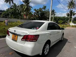 Toyota Premio 2020 Car (Used)
