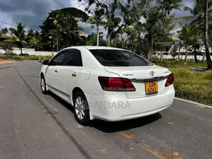 Toyota Premio 2020 Car (Used)