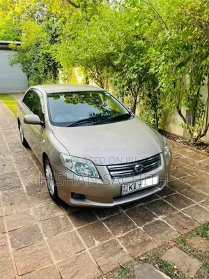 Toyota Axio 2010 Car (Used)