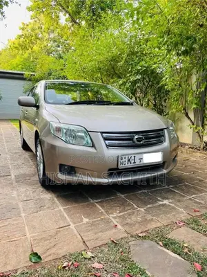 Toyota Axio 2010 Car (Used)