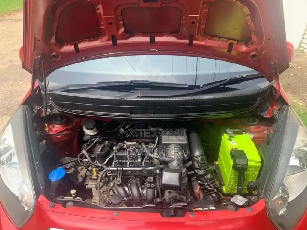 Kia Picanto 2016 Car (Used)