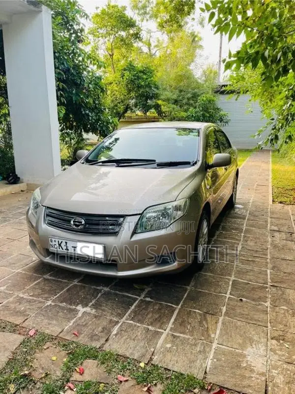 Toyota Axio 2010 Car (Used)