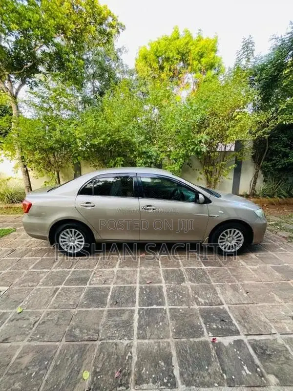 Toyota Axio 2010 Car (Used)