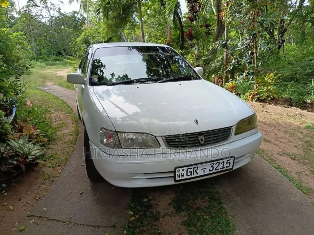 Toyota Corolla 1998 Car (Used)