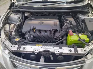 Toyota Axio 2010 Car (Used)