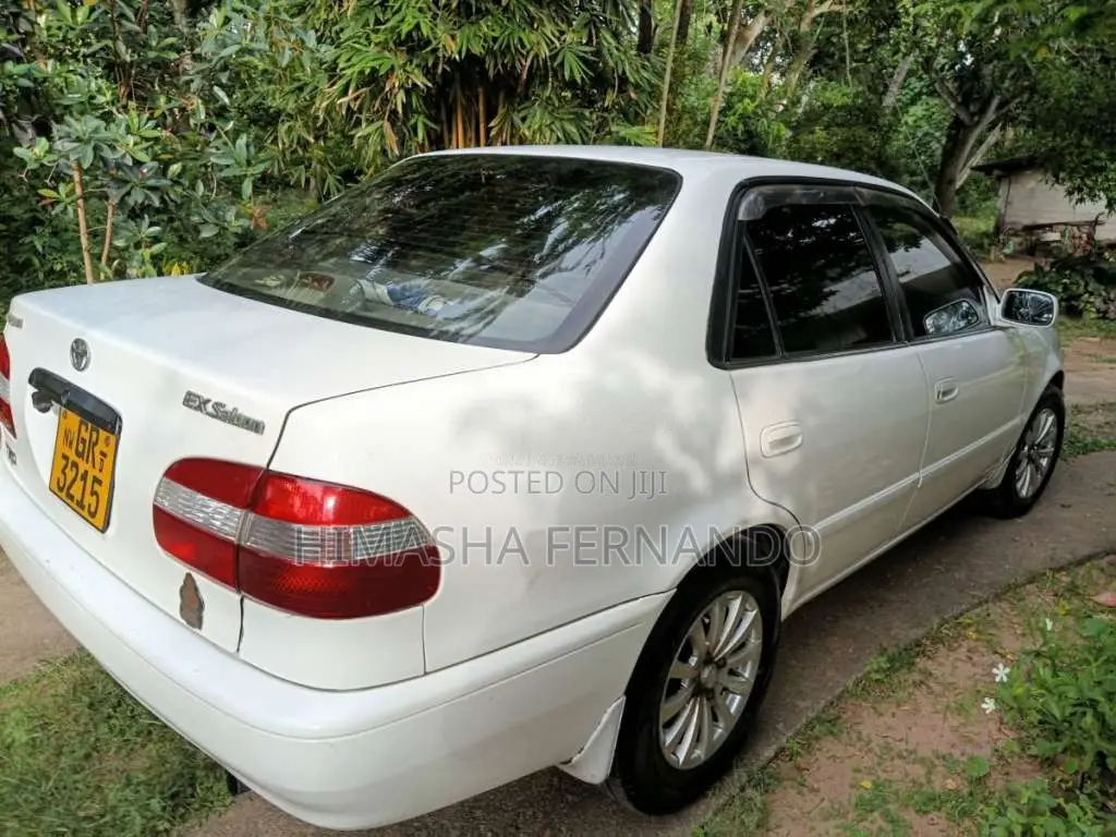 Toyota Corolla 1998 Car (Used)