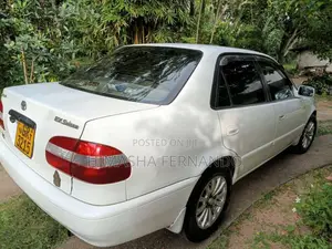 Toyota Corolla 1998 Car (Used)