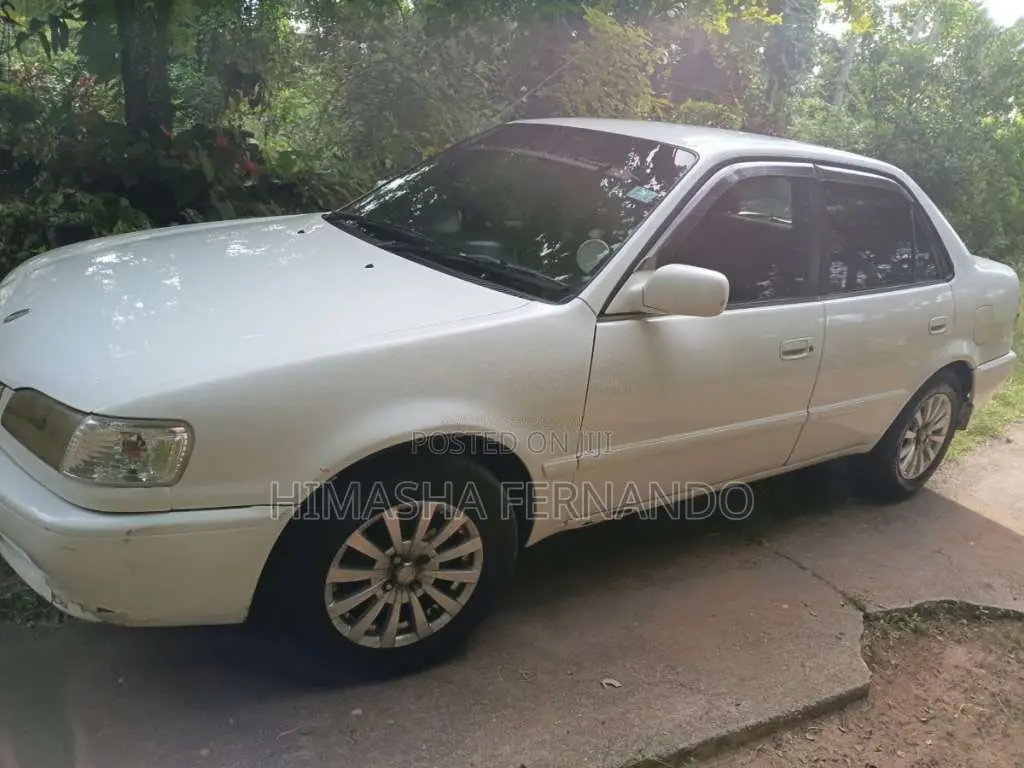 Toyota Corolla 1998 Car (Used)