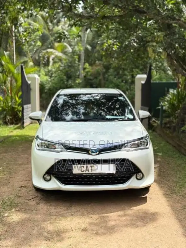 Toyota Axio Wxb 2016 Car (Used)