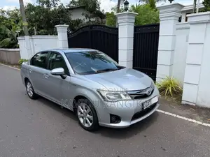 Toyota Axio 2014 Car (Used)