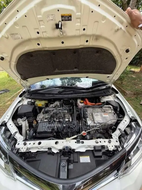 Toyota Axio Wxb 2016 Car (Used)