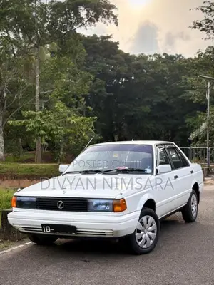 Nissan Trad Sunny 1989 Car (Used)