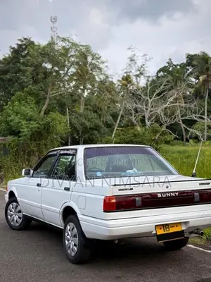 Nissan Trad Sunny 1989 Car (Used)