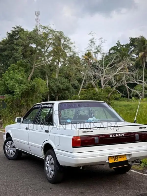 Nissan Trad Sunny 1989 Car (Used)