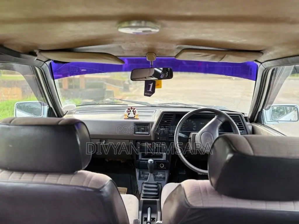 Nissan Trad Sunny 1989 Car (Used)