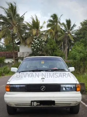 Nissan Trad Sunny 1989 Car (Used)