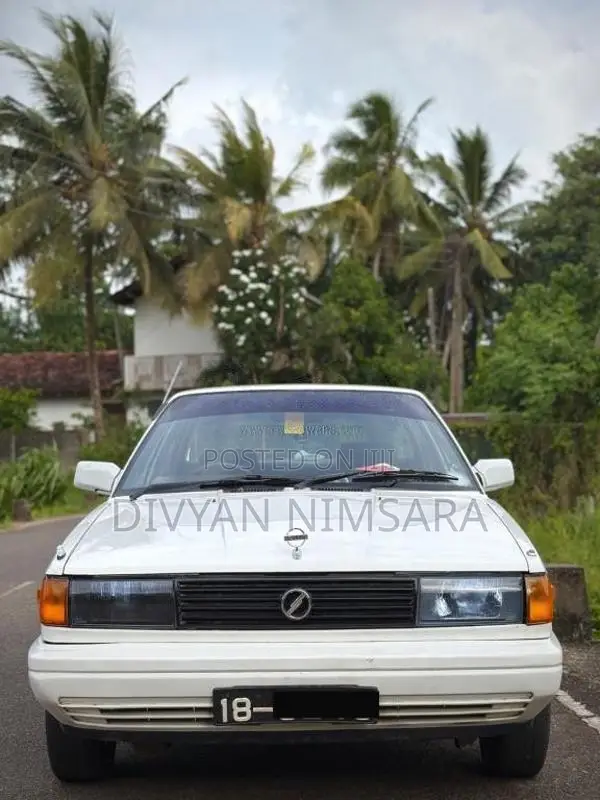 Nissan Trad Sunny 1989 Car (Used)