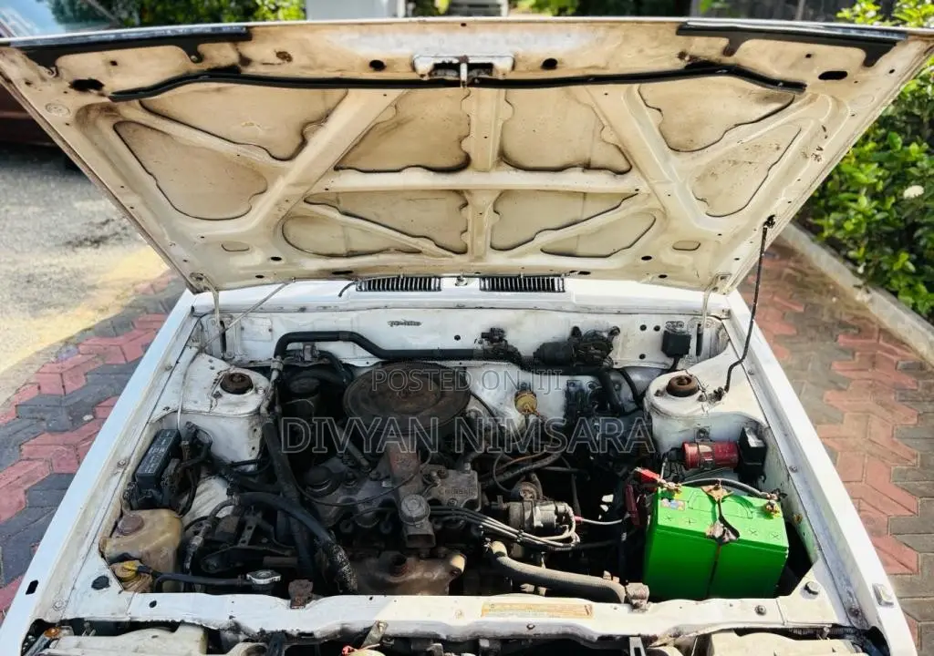 Nissan Trad Sunny 1989 Car (Used)