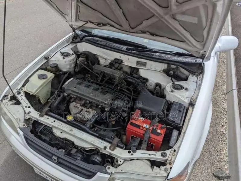 Toyota Corolla 1999 Car (Used)