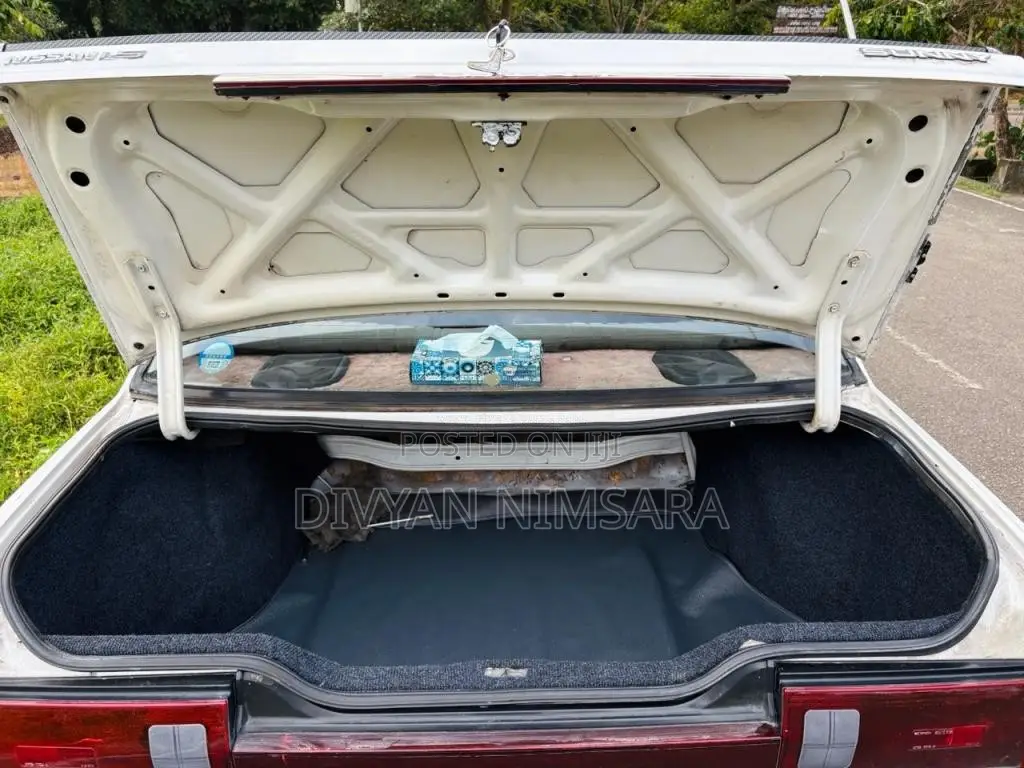 Nissan Trad Sunny 1989 Car (Used)