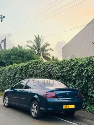 Peugeot 407 2007 Car (Used)