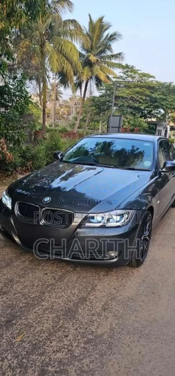 BMW 320i 2010 Car (Used)