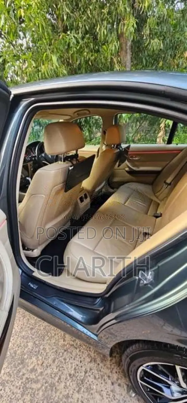 BMW 320i 2010 Car (Used)