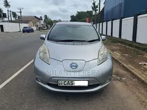 Nissan Leaf Azeo 2016 Car (Used)