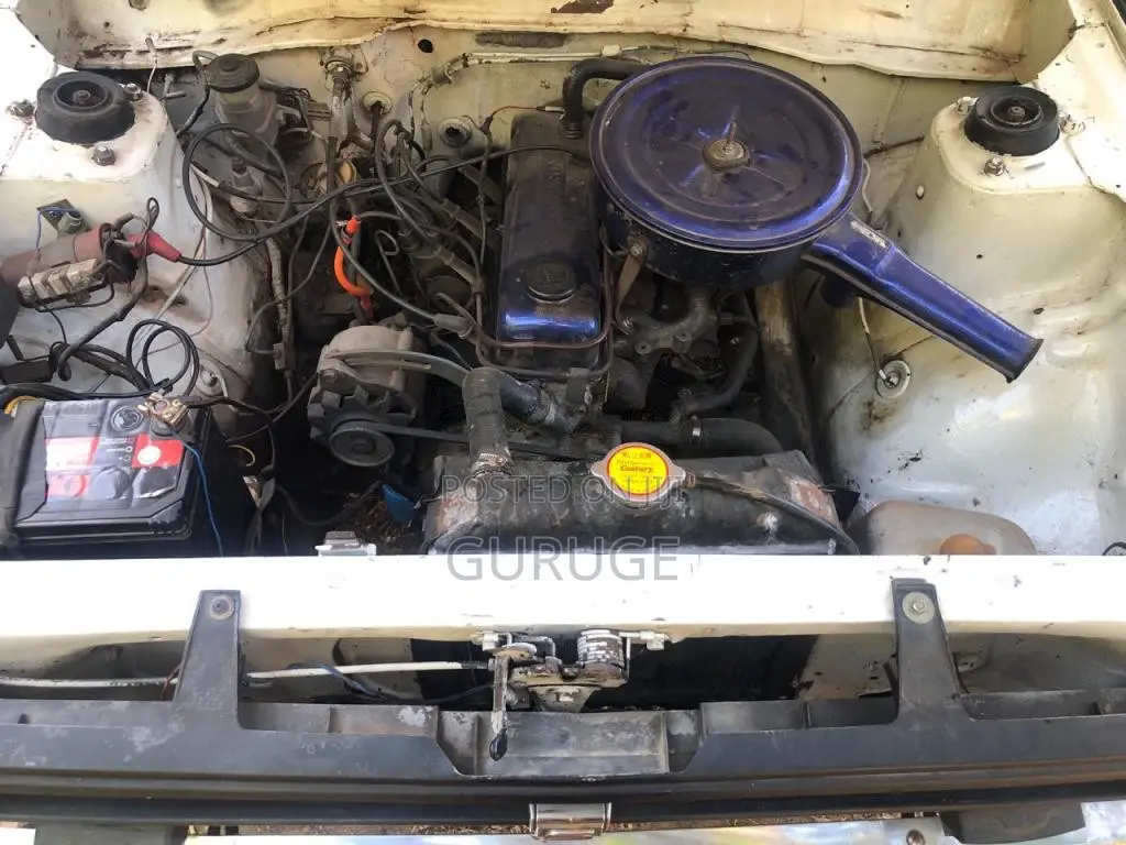 Datsun Sunny 1983 Car (Used)
