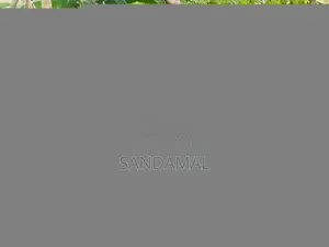 Nissan FB12 1987 Car (Used)