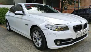 BMW 520D 2013 Car (Used)