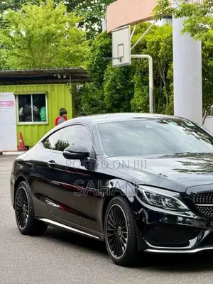 Mercedes-Benz C250 2016 Car (Used)