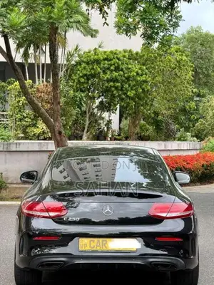 Mercedes-Benz C250 2016 Car (Used)