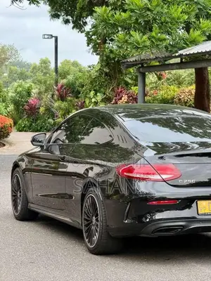 Mercedes-Benz C250 2016 Car (Used)