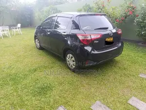 Toyota Vitz 2017 Car (Used)