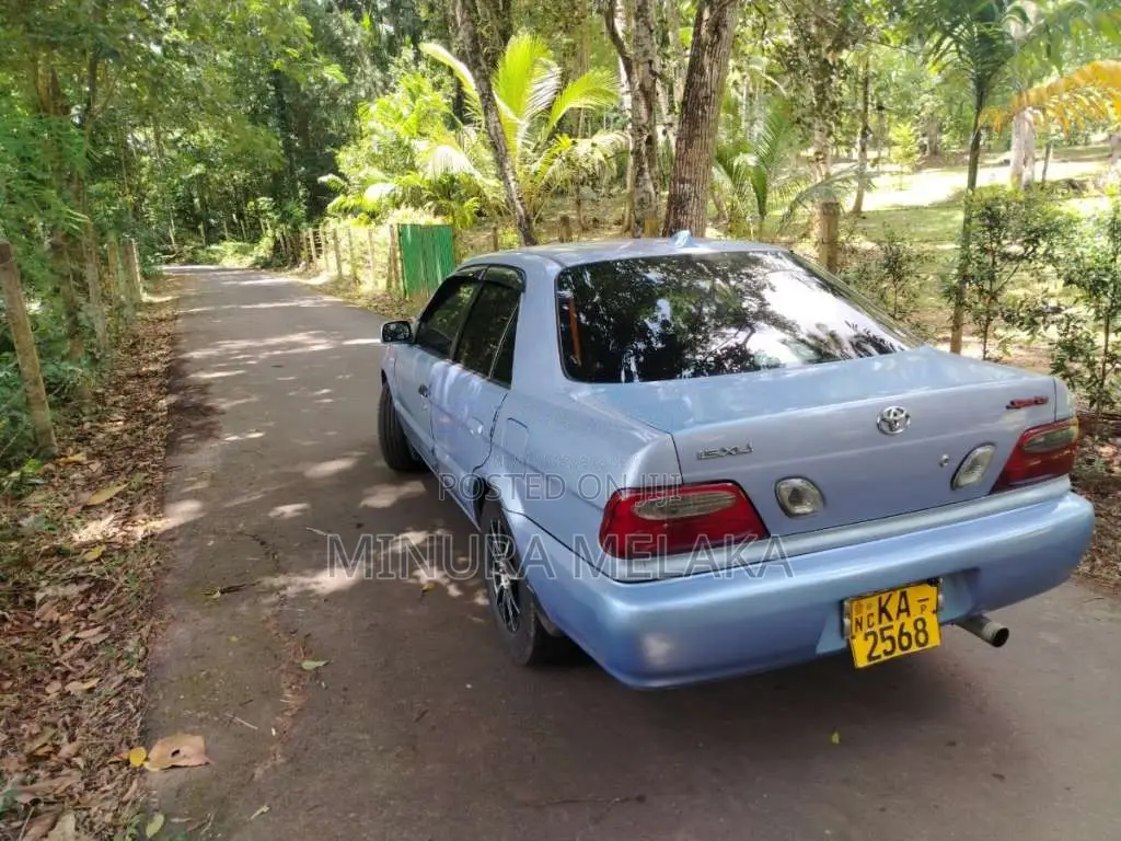 Toyota Soluna 2005 Car (Used)
