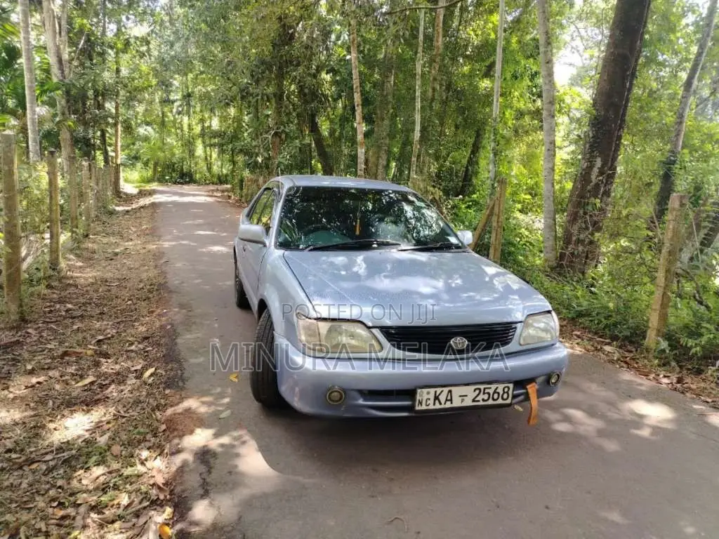 Toyota Soluna 2005 Car (Used)