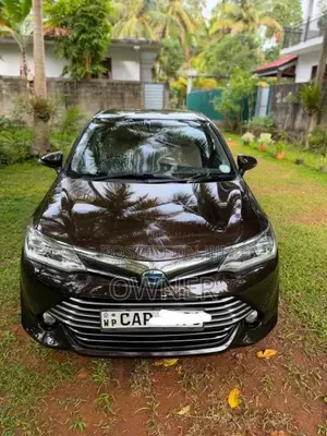 Toyota Axio G Grade 2015 Car (Used)