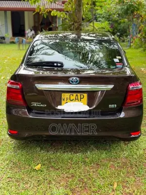 Toyota Axio G Grade 2015 Car (Used)