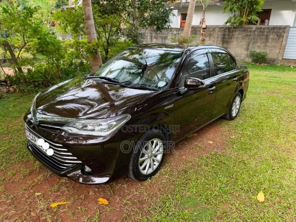 Toyota Axio G Grade 2015 Car (Used)