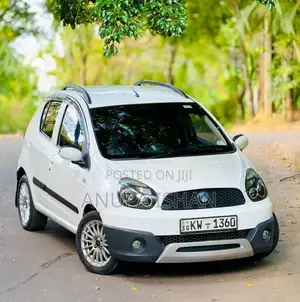 Micro Panda Cross 2013 Car (Used)