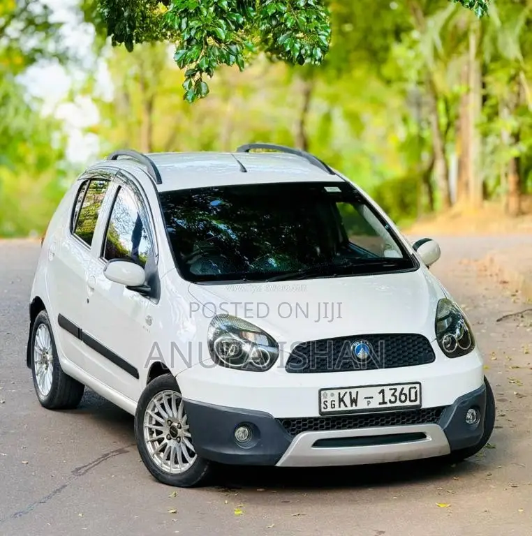 Micro Panda Cross 2013 Car (Used)