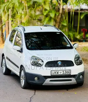 Micro Panda Cross 2013 Car (Used)