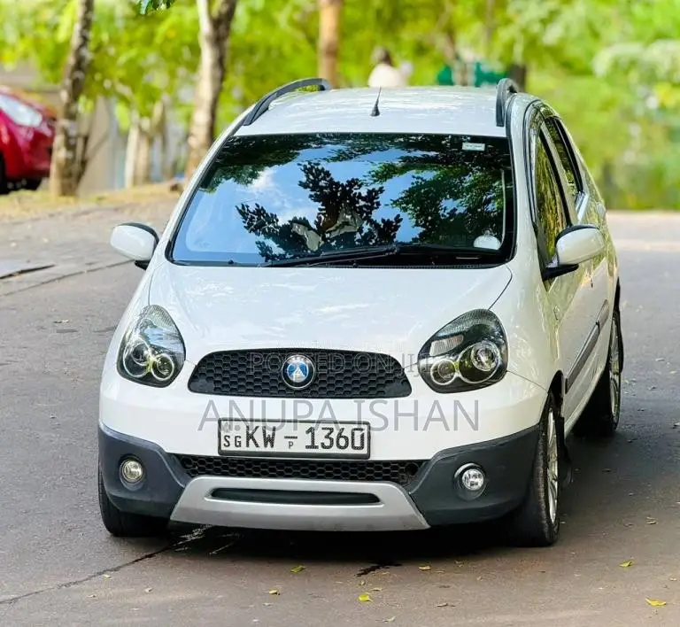 Micro Panda Cross 2013 Car (Used)