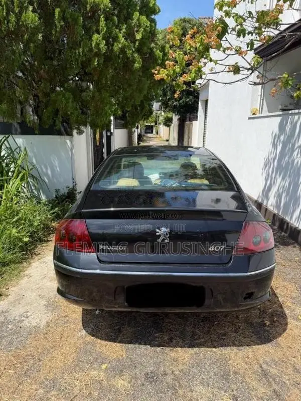 Peugeot 407 2007 Car (Used)