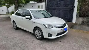 Toyota Axio Hybrid 2015 Car (Used)