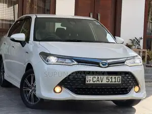 Toyota AXIO WXB 2017 Car (Used)
