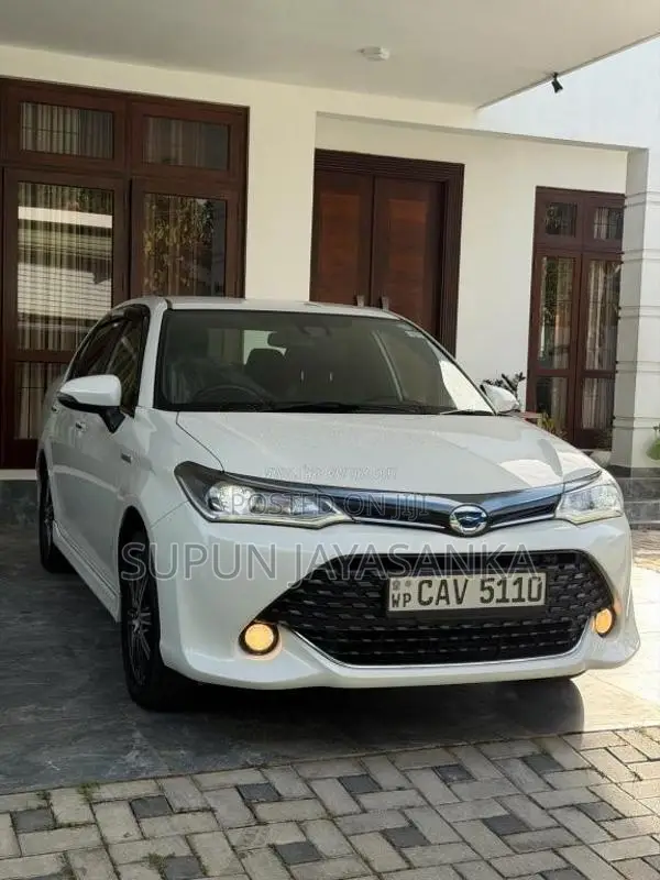 Toyota AXIO WXB 2017 Car (Used)