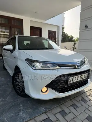 Toyota AXIO WXB 2017 Car (Used)