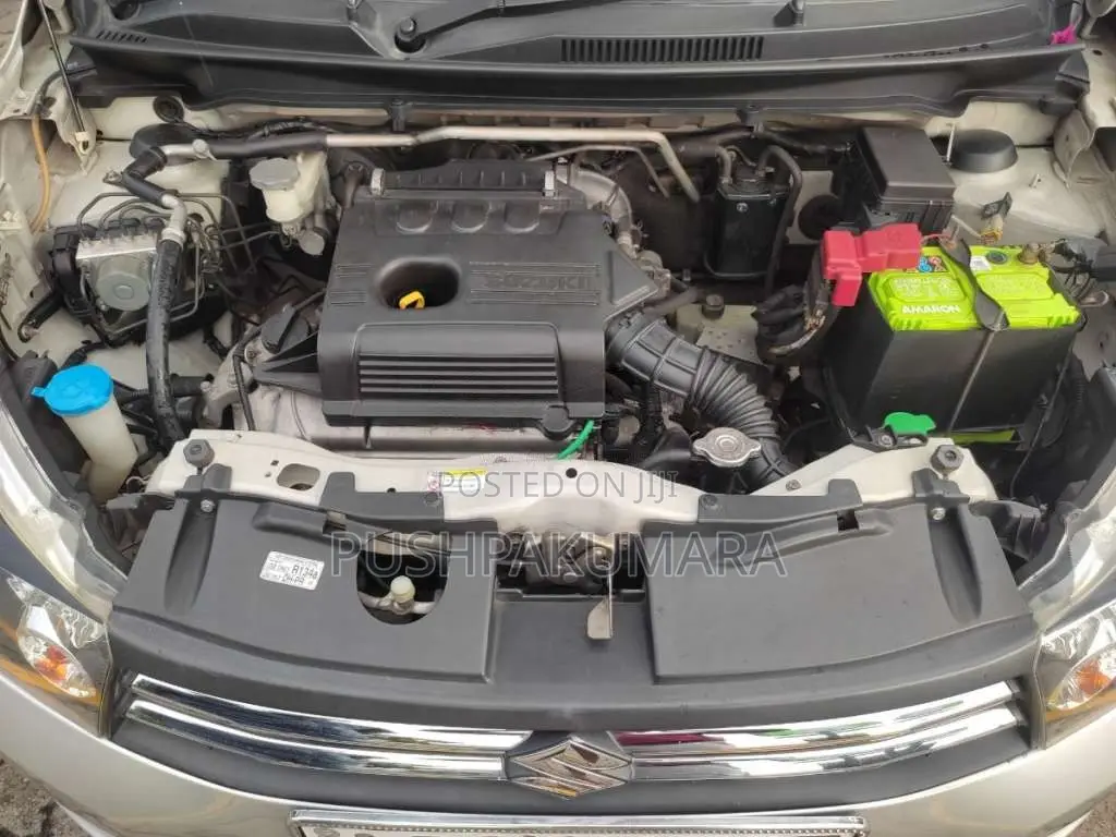 Suzuki Celerio ZXI 2017 Car (Used)